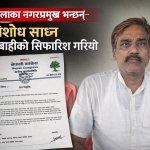 मिथिलाका नगरप्रमुख भन्छन्– प्रतिशोध साध्न कारबाहीको सिफारिश गरियो