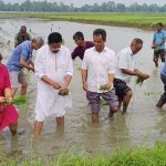 हर्दिनाथस्थित राष्ट्रिय धानबालीमा २३औँ राष्ट्रिय धान दिवस मनाइयो