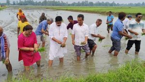 हर्दिनाथस्थित राष्ट्रिय धानबालीमा २३औँ राष्ट्रिय धान दिवस मनाइयो